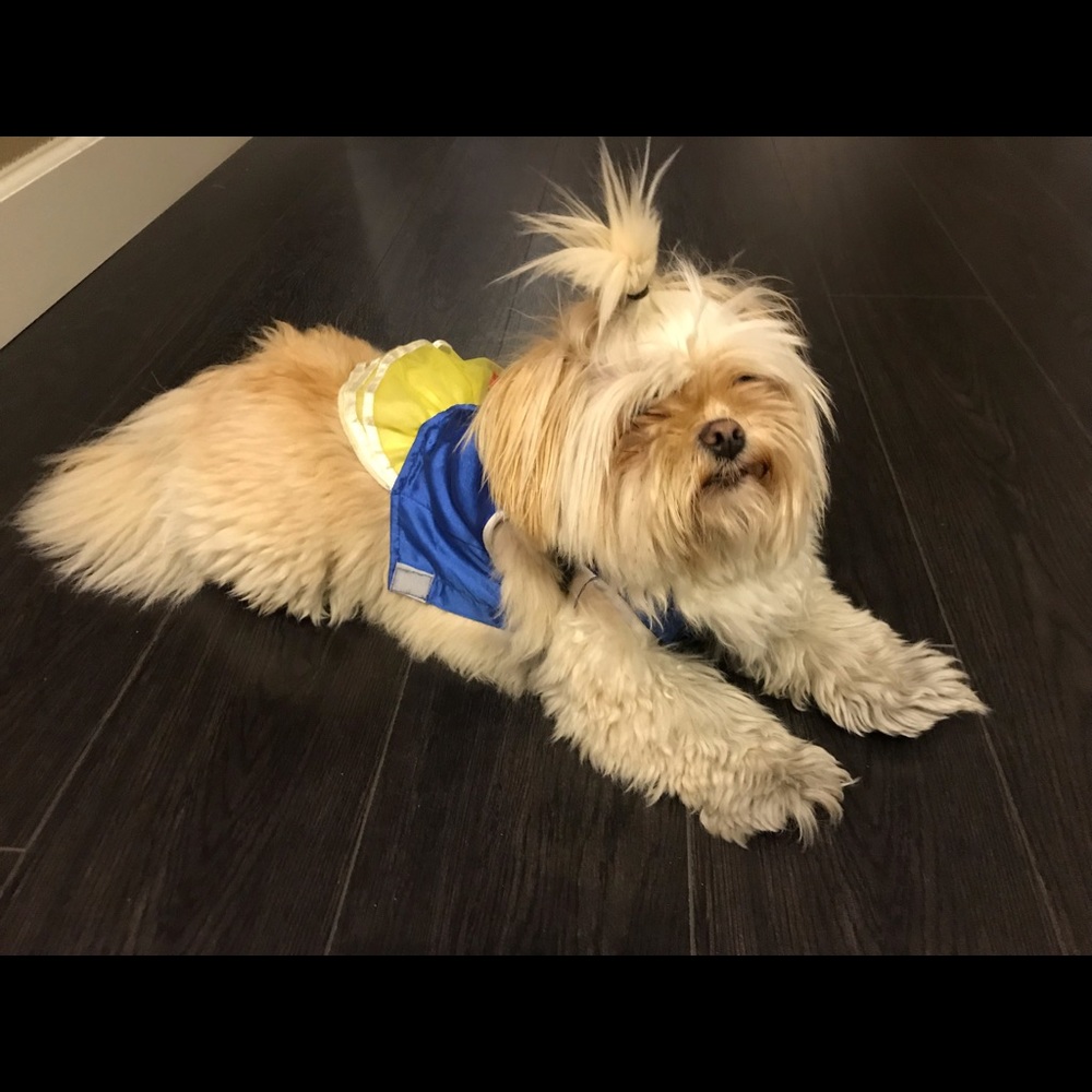 Meet your Posher, Pauline